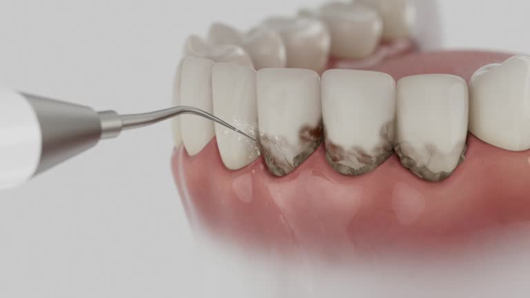 Reliable Dental contractor in Windsor, MO by Dentist Open Now